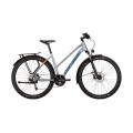 Dviratis MTC Elite Sport 29"