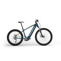 Dviratis E-Power X-Vert Race Gent 29"