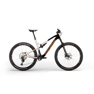 Dviratis Revolution iLink Pro 29"