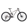 Dviratis Scroll AM Xpert 29"