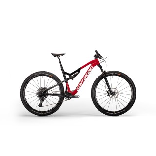 Dviratis Revolution iLink Elite 29"