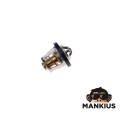THERMOSTAT, COOLING