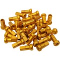 NIPPLE SET MX1 8 GA GOLD
