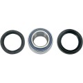 WHEEL BEARING AND SEAL KIT