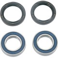 WHEEL BEARING AND SEAL KIT