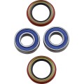 WHEEL BEARING AND SEAL KIT