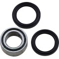 WHEEL BEARING AND SEAL KIT