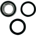 WHEEL BEARING AND SEAL KIT