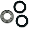 WHEEL BEARING AND SEAL KIT