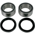 WHEEL BEARING AND SEAL KIT