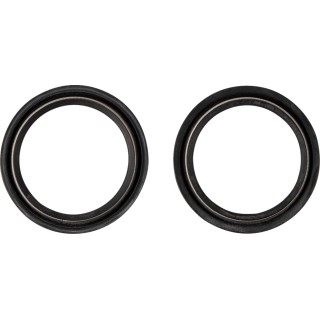 DUST SEAL 48.X58.50 WP