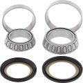 STEERING STEM BEARING KIT