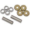 FRONT A-ARM BEARING AND SEAL KIT
