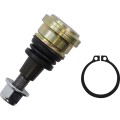 BALL JOINT UPPR/LWR POL