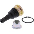 BALLJOINT LOWER POL RZR MSE