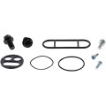 REBUILD KIT PETCOCK AC