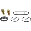 REBUILD KIT PETCOCK POL