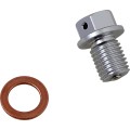 DRAIN PLUG MAGNETIC SLVR