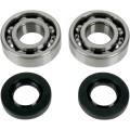 CRANK SHAFT BEARING/SEAL KIT KAWASAKI/SUZUKI