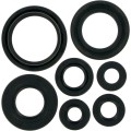 OIL SEAL SET OFFROAD