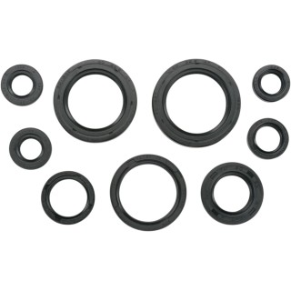 OIL SEAL SET