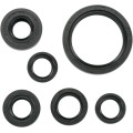 OIL SEAL SET