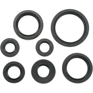 OIL SEAL SET