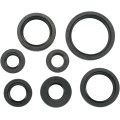 OIL SEAL SET