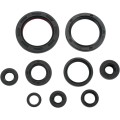 OIL SEAL SET
