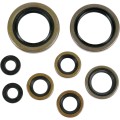 OIL SEAL SET