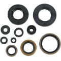 OIL SEAL SET