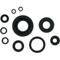 OIL SEAL SET