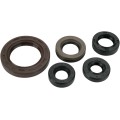 OIL SEAL SET