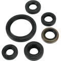 OIL SEAL SET