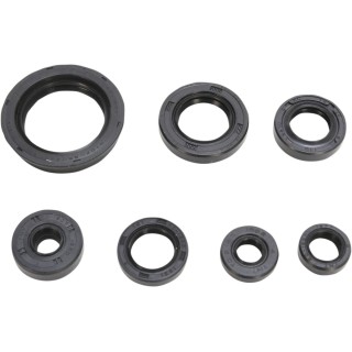 OIL SEAL SET