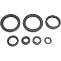 COMPLETE OIL SEAL SET