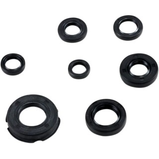 SEAL KIT ENGINE OIL HON