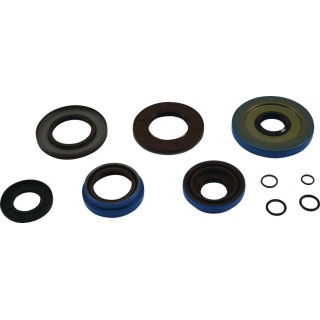 TRANSAXLE SEAL KIT POL MSE