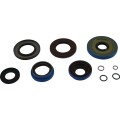 TRANSAXLE SEAL KIT POL MSE