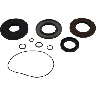 TRANSAXLE SEAL KIT POL MSE