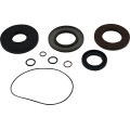 TRANSAXLE SEAL KIT POL MSE