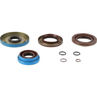 TRANSAXLE SEAL KIT POL MSE