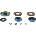 TRANSAXLE SEAL KIT POL MSE