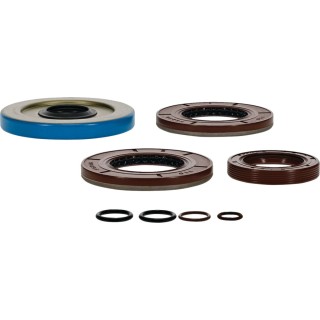 TRANSAXLE SEAL KIT POL MSE