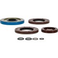 TRANSAXLE SEAL KIT POL MSE