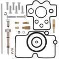 CARB REPAIR KIT