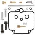 CARB REPAIR KIT
