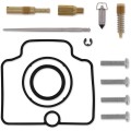 CARB REPAIR KIT