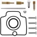 CARB REPAIR KIT