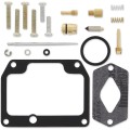 CARB REPAIR KIT
